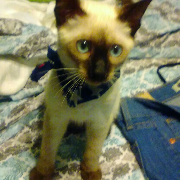 Meet your Posher, Colleen - Picture 2 of 2